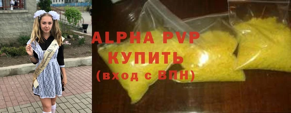 ГАЛЛЮЦИНОГЕННЫЕ ГРИБЫ Козловка