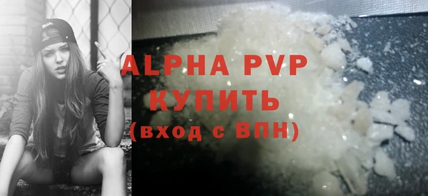 ГАЛЛЮЦИНОГЕННЫЕ ГРИБЫ Козловка