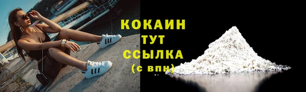 ГАЛЛЮЦИНОГЕННЫЕ ГРИБЫ Козловка