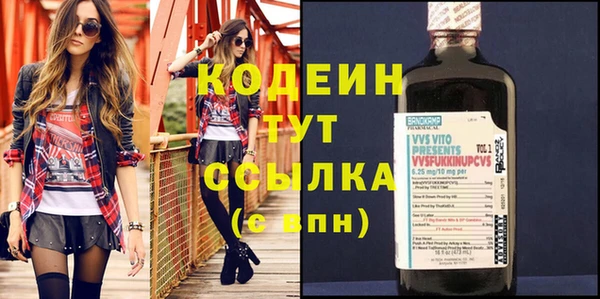 ГАЛЛЮЦИНОГЕННЫЕ ГРИБЫ Козловка