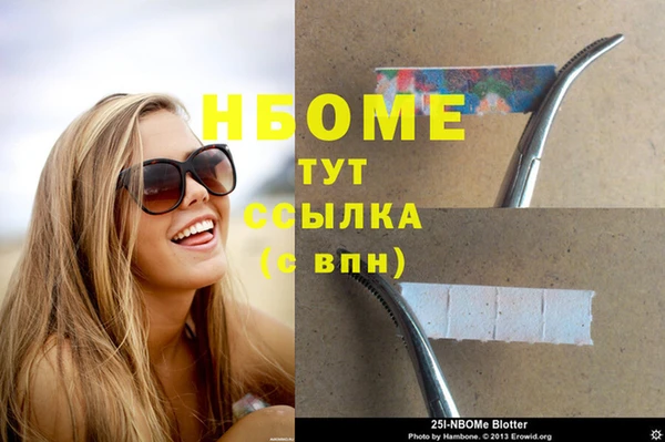 ГАЛЛЮЦИНОГЕННЫЕ ГРИБЫ Козловка