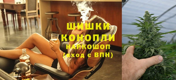 ГАЛЛЮЦИНОГЕННЫЕ ГРИБЫ Козловка