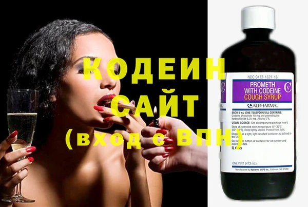 ГАЛЛЮЦИНОГЕННЫЕ ГРИБЫ Козловка