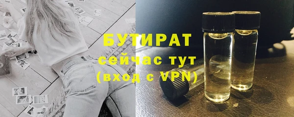 ГАЛЛЮЦИНОГЕННЫЕ ГРИБЫ Козловка