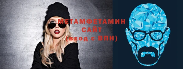 ГАЛЛЮЦИНОГЕННЫЕ ГРИБЫ Козловка