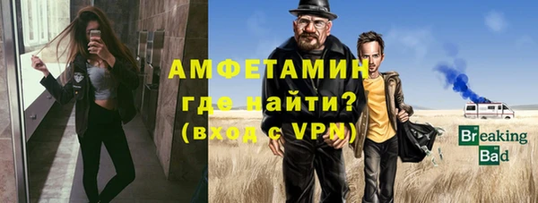 ГАЛЛЮЦИНОГЕННЫЕ ГРИБЫ Козловка