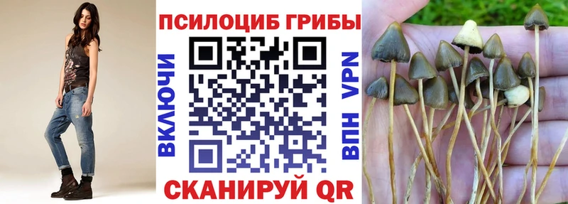 Галлюциногенные грибы GOLDEN TEACHER  Купить закладки  Курлово 